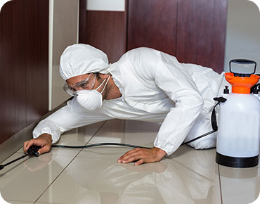 Why Professional Deep Cleaning Makes...